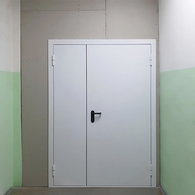 Полуторапольная глухая дверь