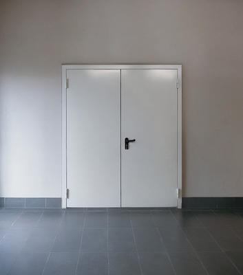 Двустворчатая огнезащитная дверь