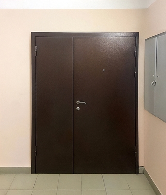 Дверь в тамбур