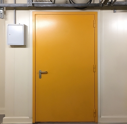 Дверь с покраской RAL Дверь с покраской RAL