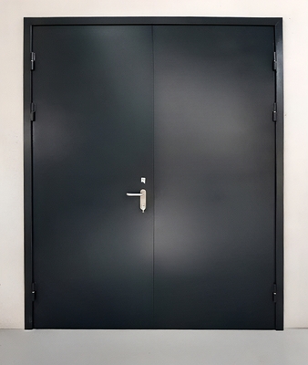 Двупольная огнестойкая дверь черного цвета