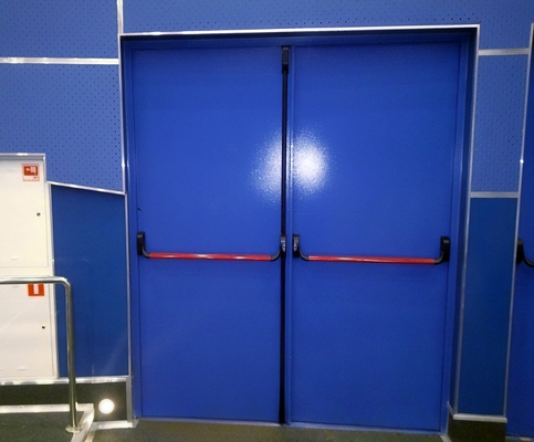 Синяя дверь с ручками push-bar