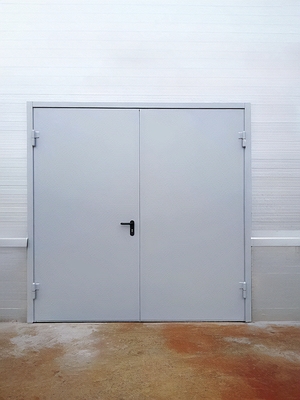 Двустворчатая металлическая дверь