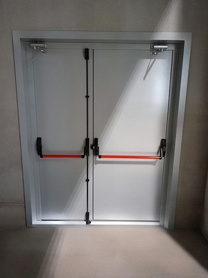 Дверь Антипаника с доводчиками