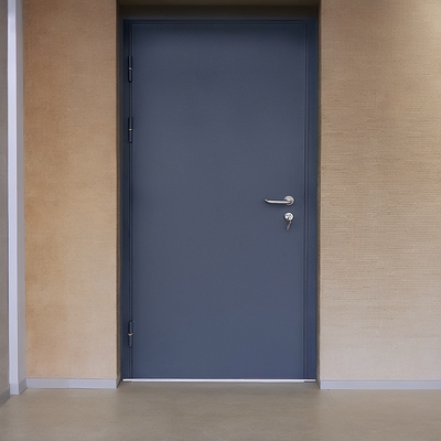Стальная однопольная дверь Стальная однопольная дверь