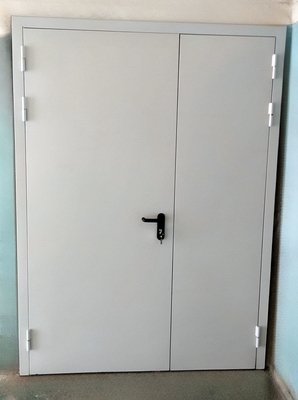 Глухая пожаростойкая дверь