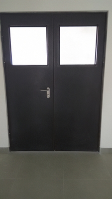 Двупольная дверь со стеклами