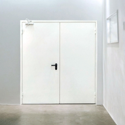 Дверь с двумя створками