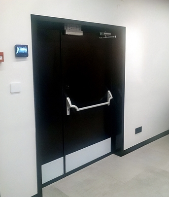 Дверь с антипаникой и отбойниками Дверь с антипаникой и отбойниками