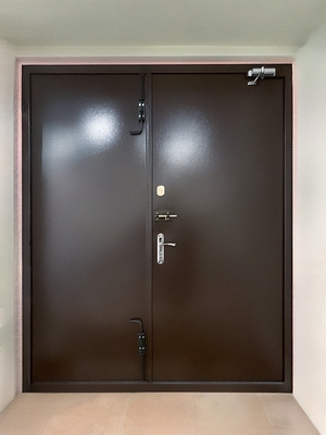 Коричневая двупольная дверь Коричневая двупольная дверь