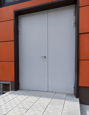 Двупольная техническая дверь Двупольная техническая дверь