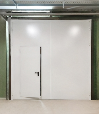 Ворота с дверью Ворота с дверью