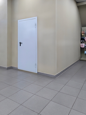 Дверь однопольной конструкции Дверь однопольной конструкции