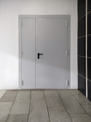 Глухая полуторная дверь