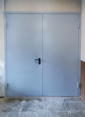 Равностворчатая огнестойкая дверь